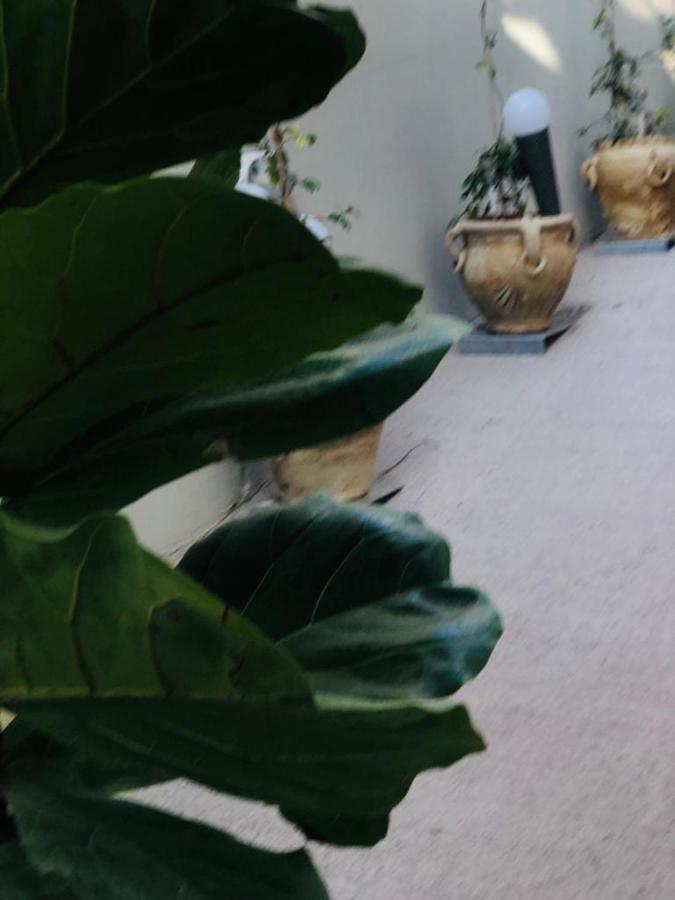 Sicily Holiday House Apartment อาโวลา ภายนอก รูปภาพ